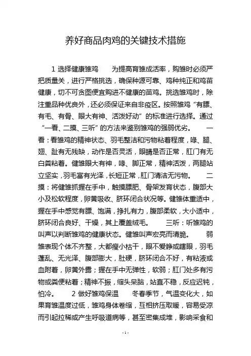 养好商品肉鸡的关键技术措施
