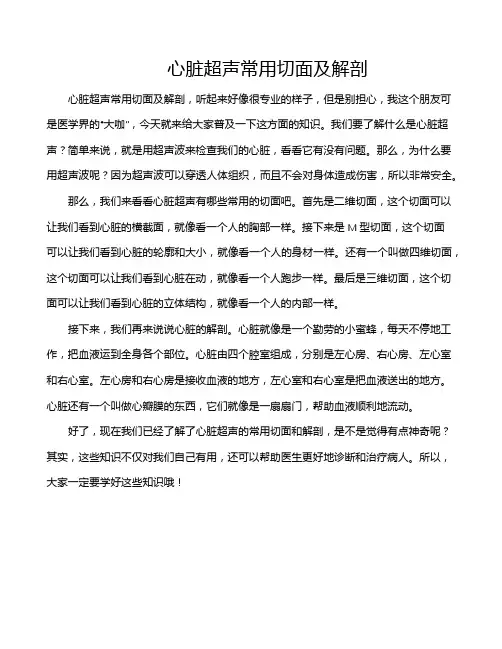 心脏超声常用切面及解剖