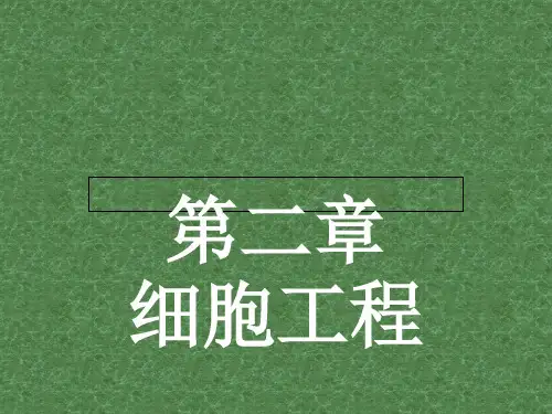 高中生物 2.1 细胞工程概述课件 苏教版选修3