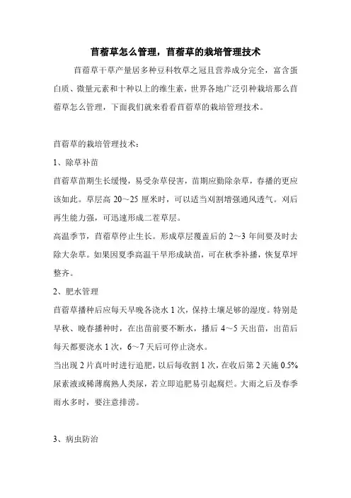 苜蓿草怎么管理,苜蓿草的栽培管理技术.doc