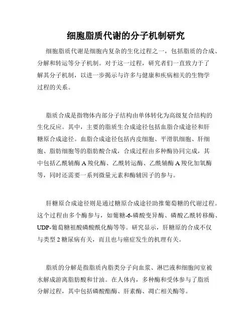 细胞脂质代谢的分子机制研究