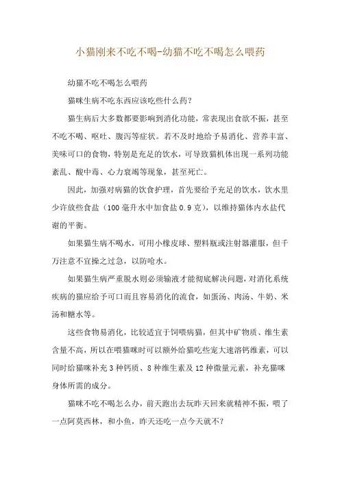小猫刚来不吃不喝-幼猫不吃不喝怎么喂药