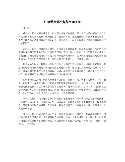 好想说声对不起作文800字