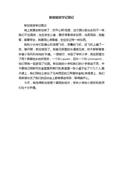 新加坡游学记周记