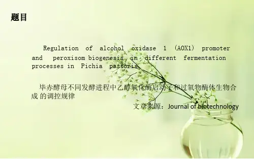 毕赤酵母发酵