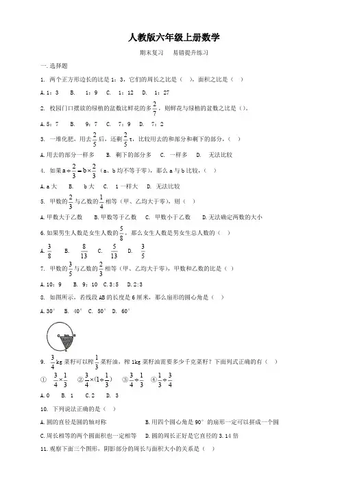 人教版六年级上册数学  期末复习  易错题   专项提升