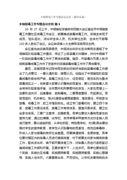 乡镇禁毒工作专题会议总结（通用6篇）