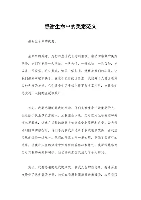 感谢生命中的美意范文