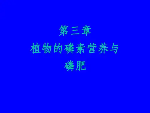 植物磷素营养与磷肥(2)