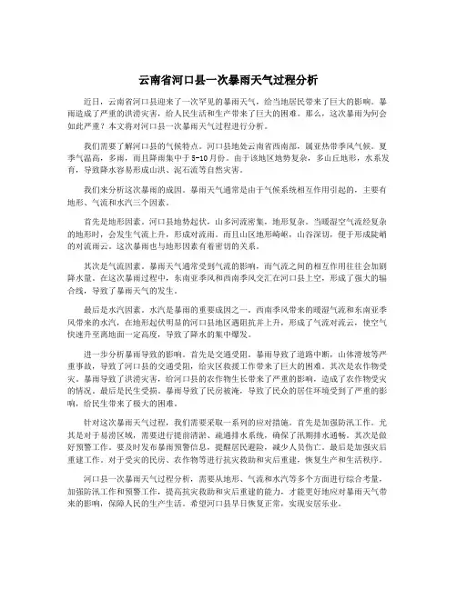 云南省河口县一次暴雨天气过程分析