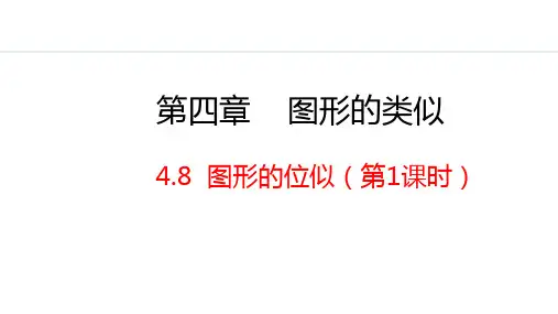 图形的位似第1课时课件北师大版九年级数学上册