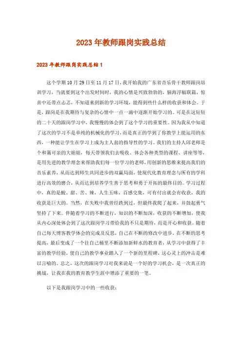 2023年教师跟岗实践总结
