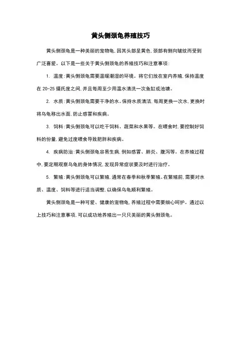 黄头侧颈龟养殖技巧