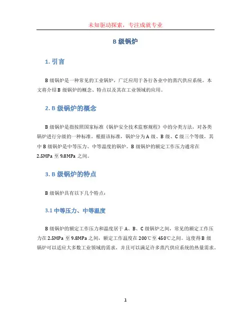 b级锅炉文档