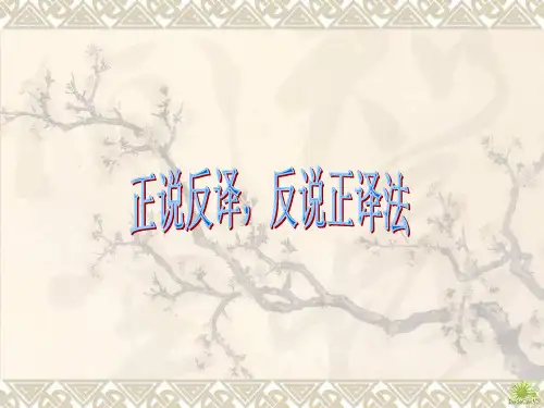 正说反译