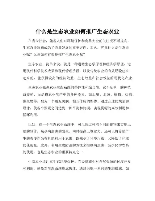 什么是生态农业如何推广生态农业