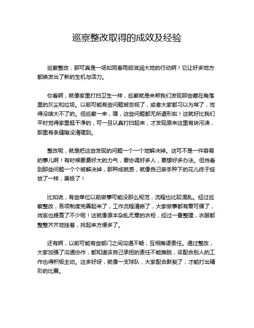 巡察整改取得的成效及经验