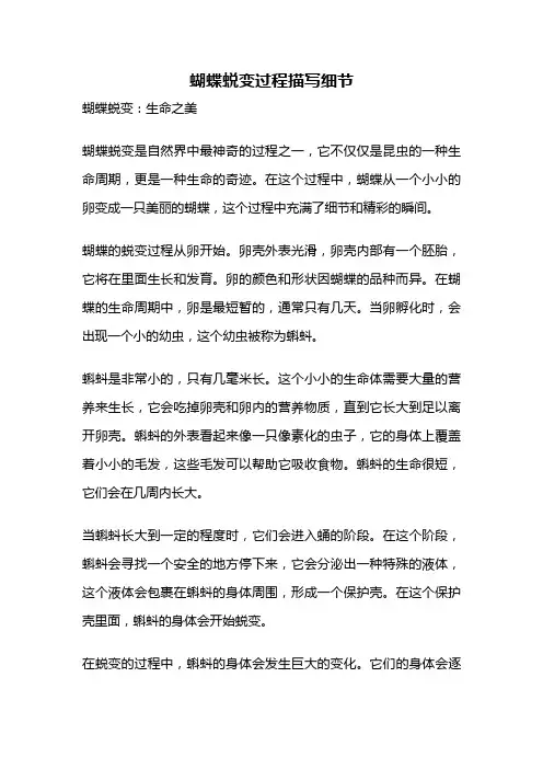 蝴蝶蜕变过程描写细节