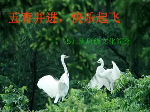 一(5)班班级文化演示文稿