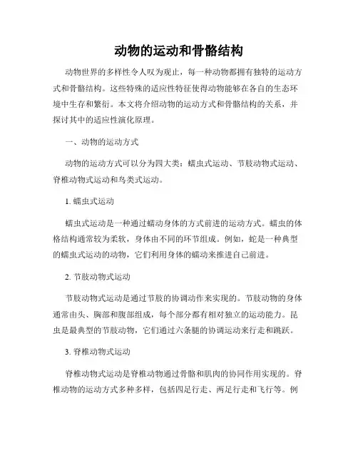 动物的运动和骨骼结构