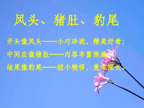 初中作文指导ppt课件