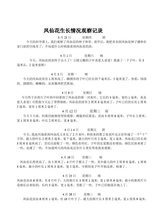 凤仙花生长情况观察记录