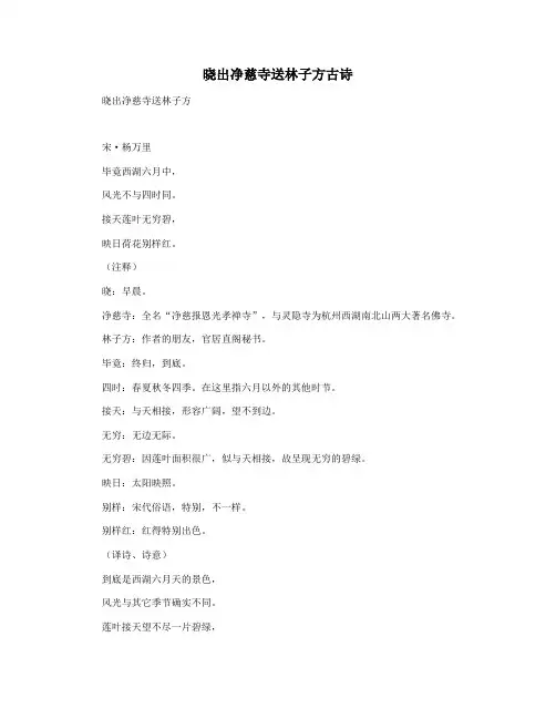 晓出净慈寺送林子方古诗