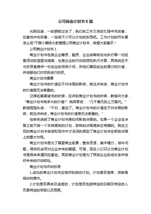 公司商业计划书5篇