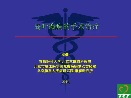 周健 岛叶癫痫的手术治疗