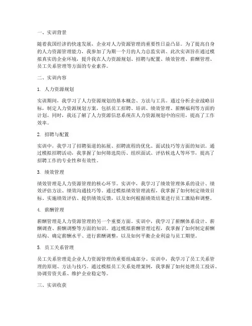 人力总监实训报告总结