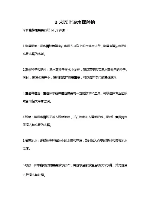 3米以上深水藕种植