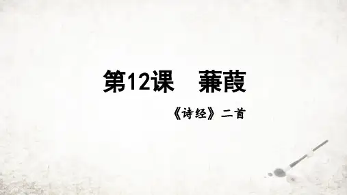 第12课《诗经二首——蒹葭》课件(共23张PPT)2023—2024学年统编版语文八年级下册