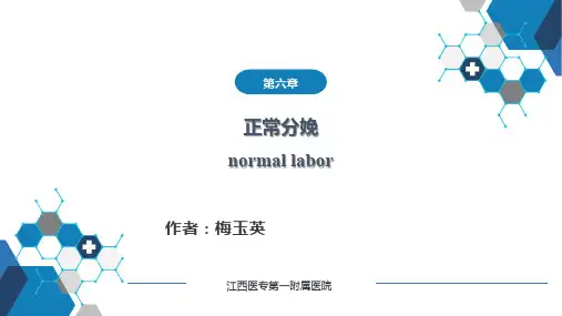 全科第十二章正常分娩