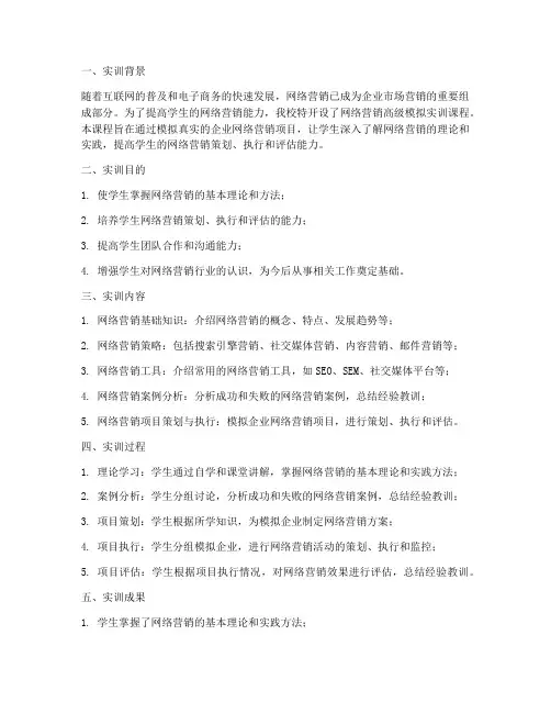 网络营销高级模拟实训报告