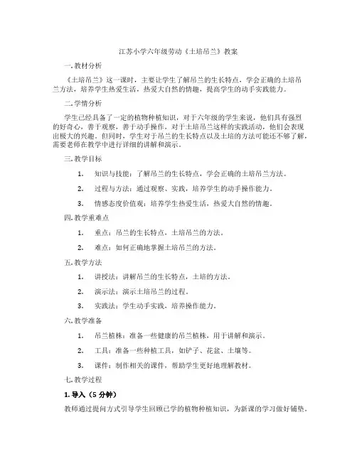 江苏小学六年级劳动《土培吊兰》教案