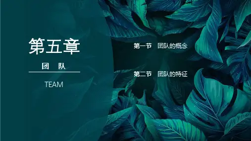 组织行为学 第五章 团 队