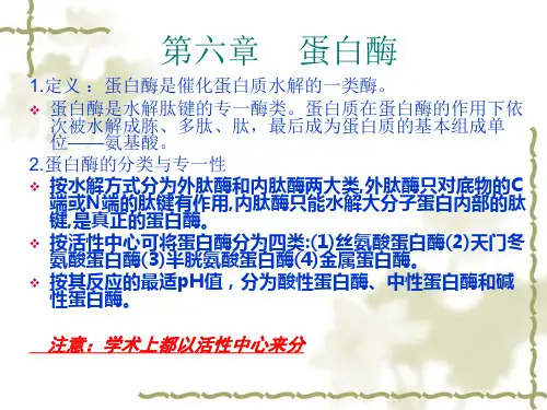 霉学 第六章    蛋白酶