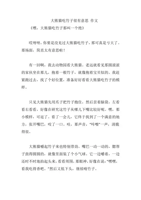 大熊猫吃竹子很有意思 作文