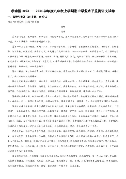 湖北省孝感市孝南区2023-2024学年九年级上册期中语文试题(含解析)