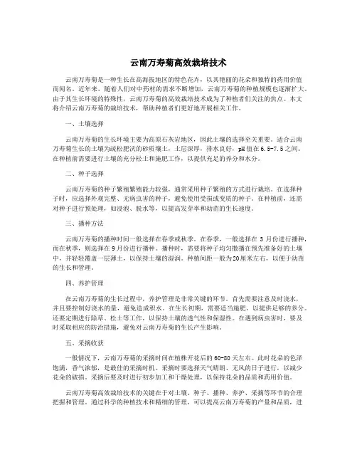 云南万寿菊高效栽培技术
