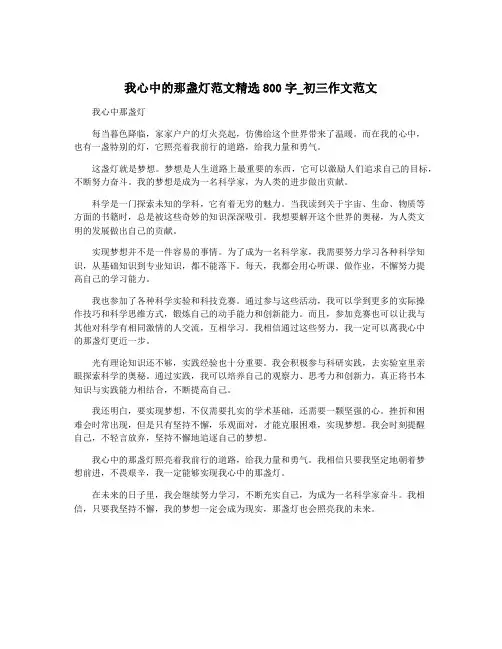 我心中的那盏灯范文精选800字_初三作文范文