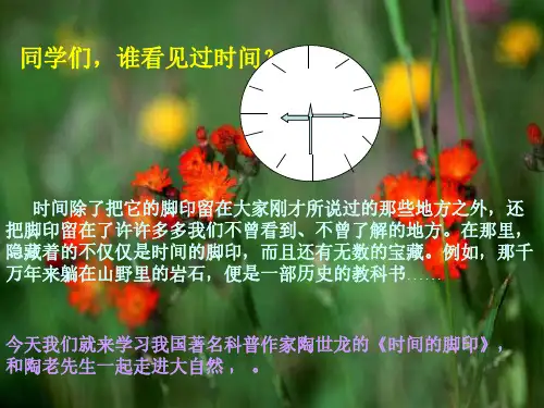 八年级语文时间的脚印1