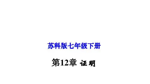 第12章 证明-七年级数学下册单元复习(苏科版)