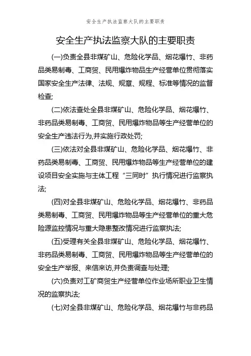 安全生产执法监察大队的主要职责