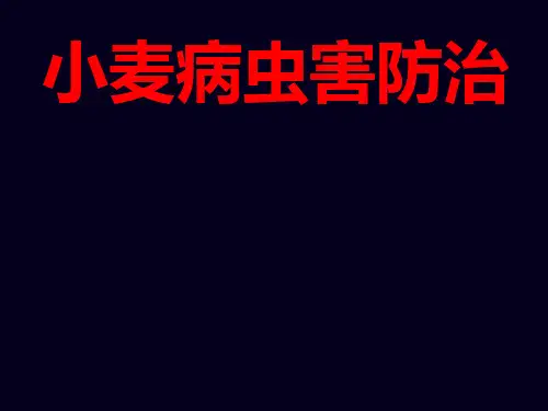 (完整版)小麦病虫害防治技术