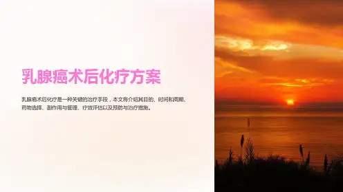 乳腺癌术后化疗方案