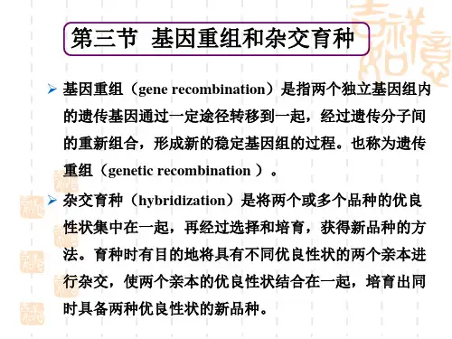 高中生物 基因重组(gene