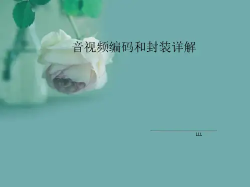 音视频编码和封装详解