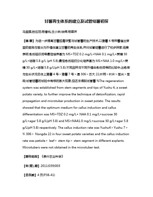 甘薯再生体系的建立及试管结薯初探