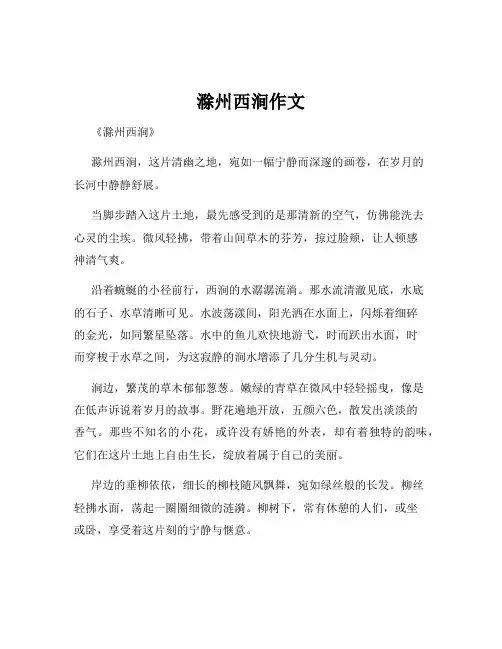 滁州西涧作文